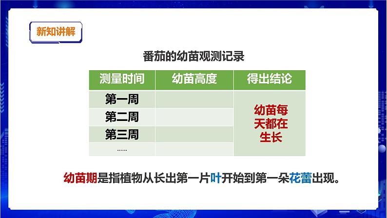 苏教版(2019)科学三年级下1.2《幼苗长大了》PPT课件+教案+练习+视频05