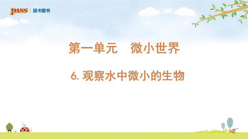 六上1-6 《观察水中微小的生物》课件PPT第1页