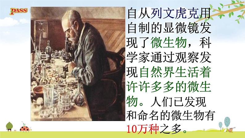 六上1-6 《观察水中微小的生物》课件PPT第2页