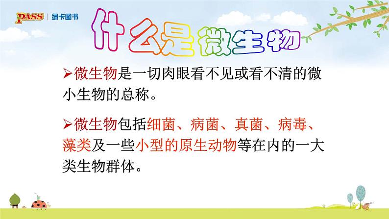 六上1-6 《观察水中微小的生物》课件PPT第4页
