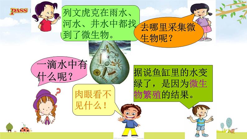 六上1-6 《观察水中微小的生物》课件PPT第7页