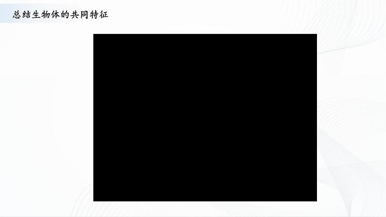 5.15《生物与非生物》课件第4页