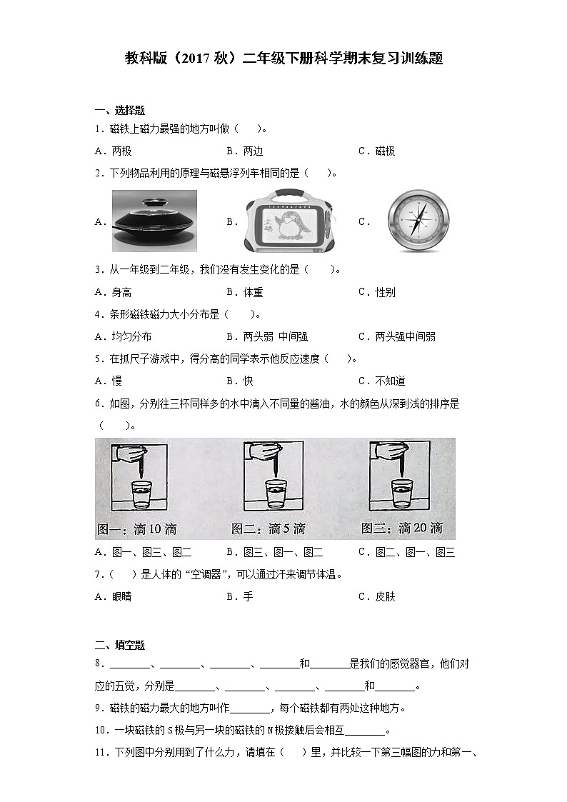 教科版二年级下册科学期末复习训练题(含答案)第1页