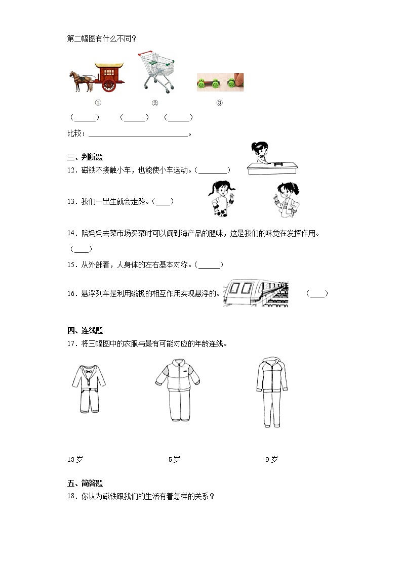 教科版二年级下册科学期末复习训练题(含答案)第2页