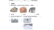 小学苏教版 (2017)第五单元 岩石与矿物本单元综合与测试课后作业题