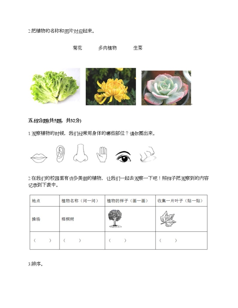 教科版科学一年级上册第一单元《植物》测试卷推荐03