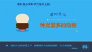 种类繁多的动物PPT课件免费下载