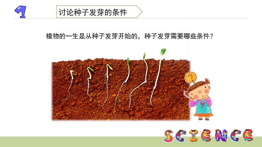 1.1種子發(fā)芽實驗（一）課件PPT第3頁