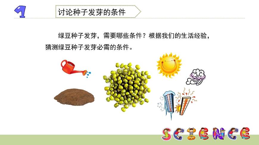1.1種子發(fā)芽實驗（一）課件PPT第4頁