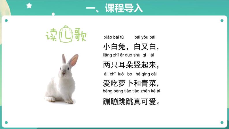 4 家里的兔子 PPT课件+教案+素材02