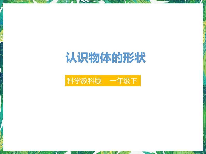 第一单元第三课《认识物体的形状》(课件)第1页