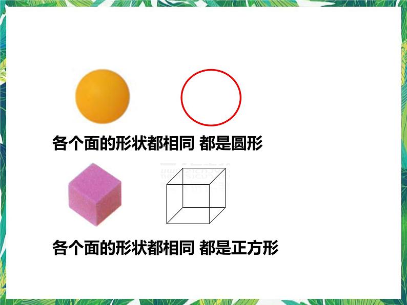 第一单元第三课《认识物体的形状》(课件)第3页