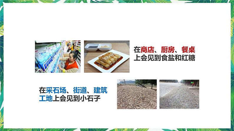1.6《它们去哪里了》课件第2页
