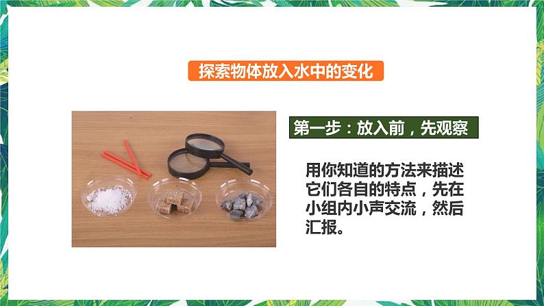 1.6《它们去哪里了》课件第4页