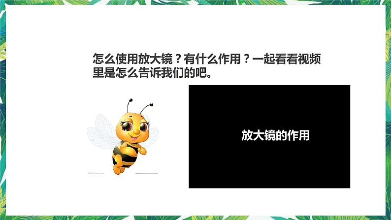 1.6《它们去哪里了》课件第5页