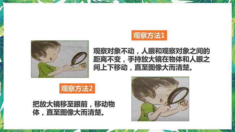 1.6《它们去哪里了》课件第6页