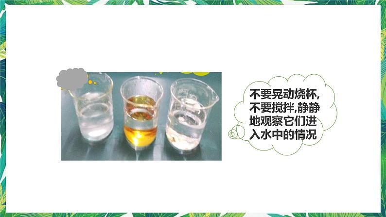 1.6《它们去哪里了》课件第8页