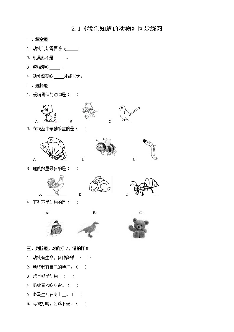 2.1《我们知道的动物》课件+教案+练习01