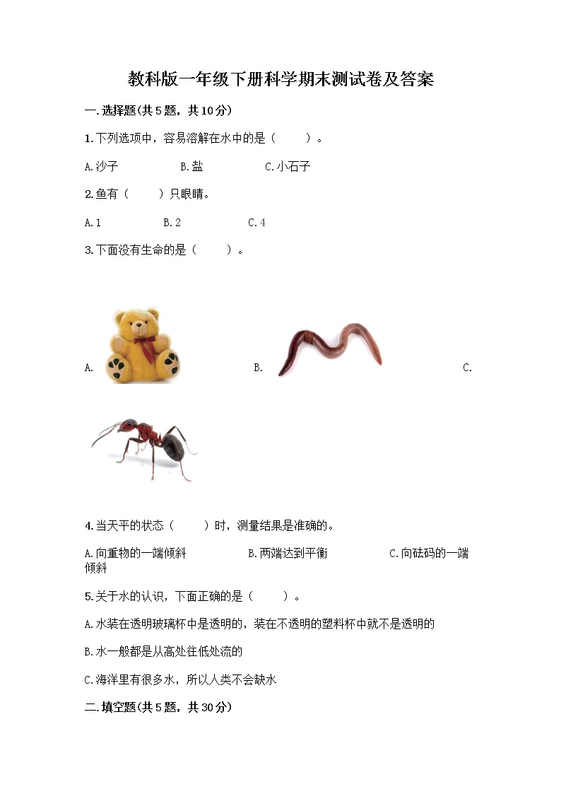 教科版一年级下册科学期末测试卷及答案 (11)