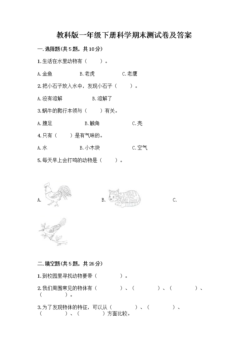 教科版一年级下册科学期末测试卷及答案 (10)