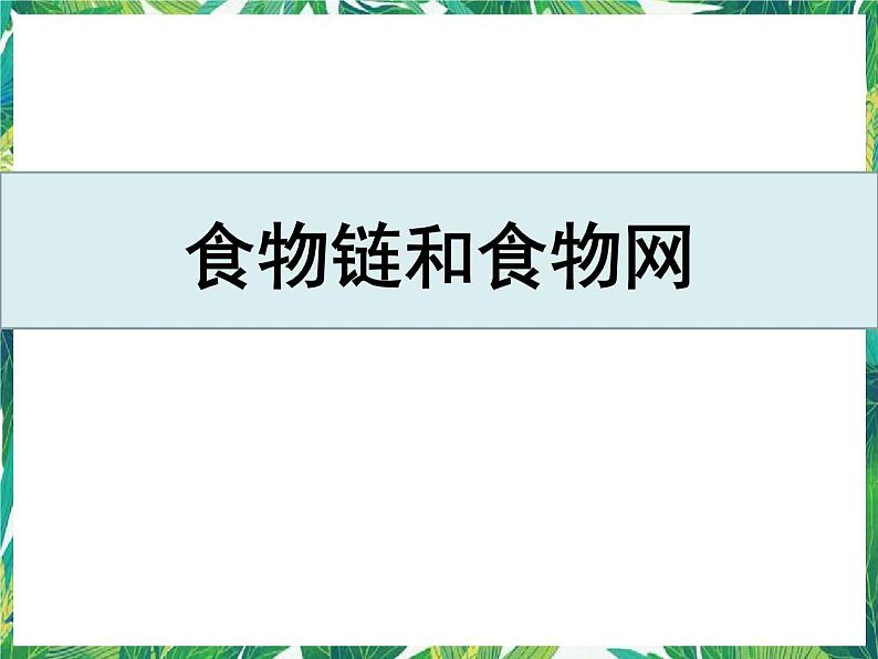 五年级下册科学课件 -1.6《食物链与食物网》 教科版(共15张PPT)第1页