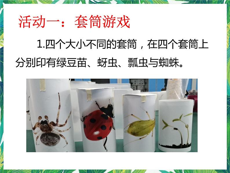 五年级下册科学课件 -1.6《食物链与食物网》 教科版(共15张PPT)第5页