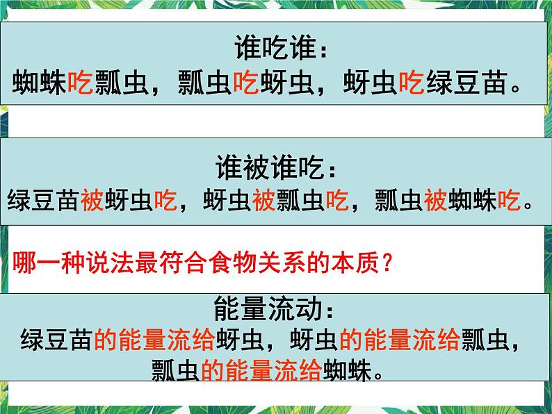 五年级下册科学课件 -1.6《食物链与食物网》 教科版(共15张PPT)第7页