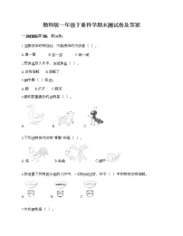 教科版一年级下册科学期末测试卷及答案13