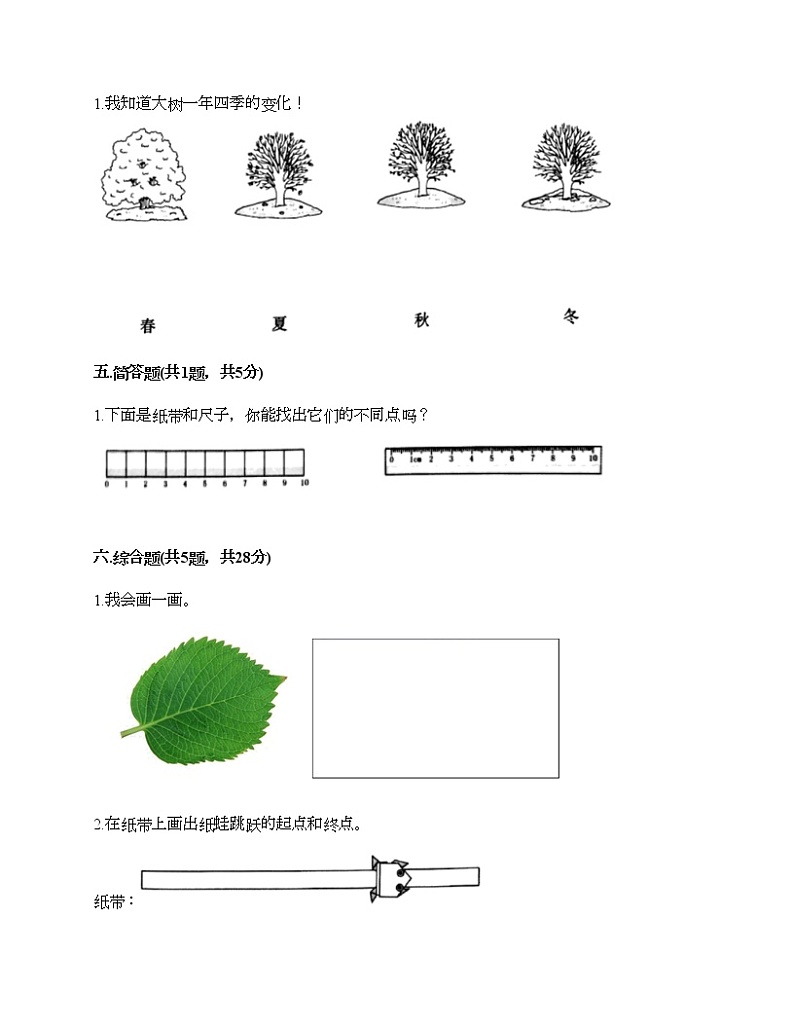 教科版一年级上册科学期末测试卷(实用)第3页