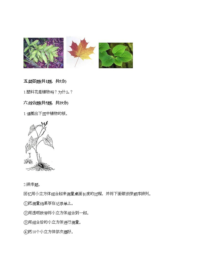 教科版一年級(jí)上冊(cè)科學(xué)期末測(cè)試卷（研優(yōu)卷）第3頁(yè)