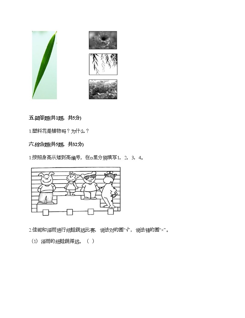 教科版一年级上册科学期末测试卷附答案(A卷)第3页