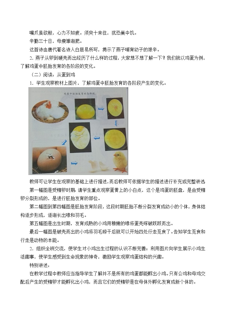 2.3 翩翩雌与雄 课件+教案+学案02