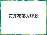 2.1 花開花落為哪般 課件+教案+學(xué)案