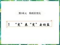 5.1“变”来“变”去的盐 课件+教案+学案