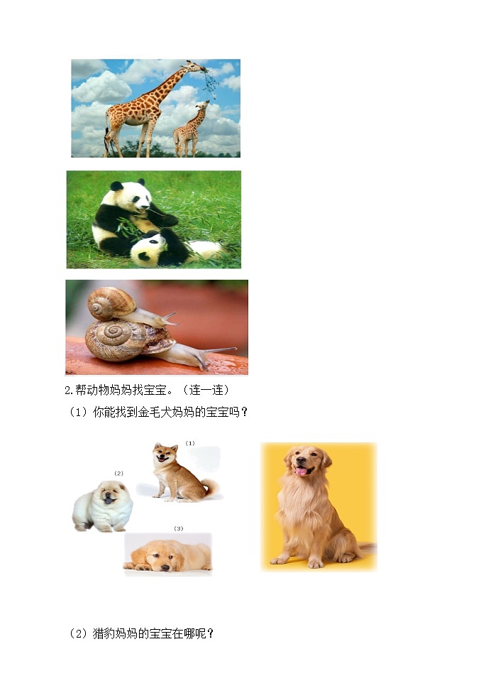 人教版五年级上册科学第二单元检测卷(含答案)第3页
