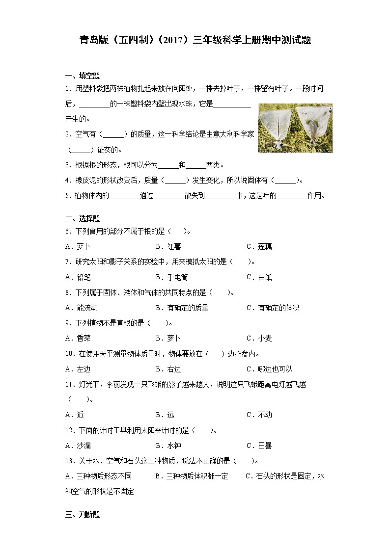 青岛版(五四制)三年级科学上册期中测试卷(含答案)01