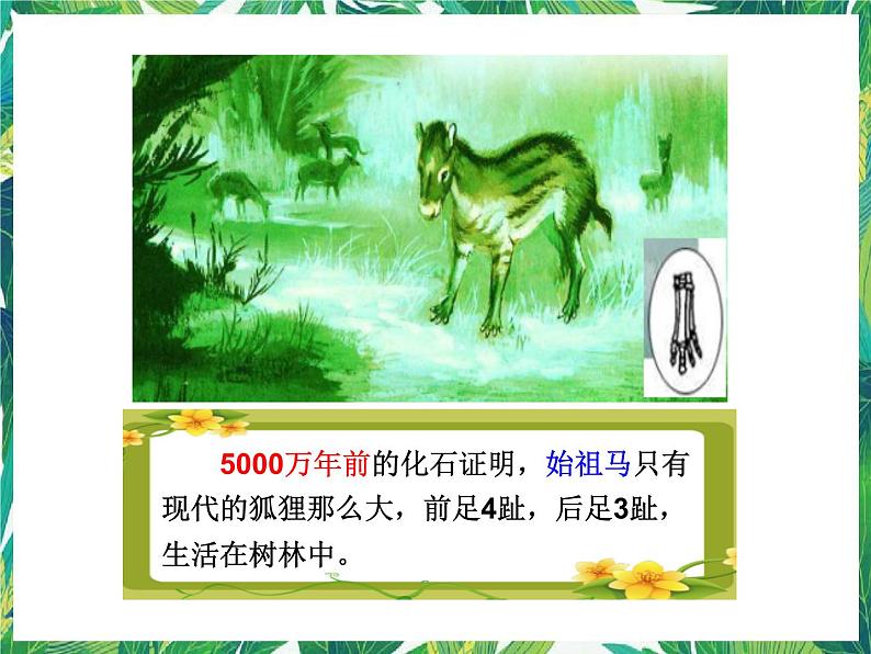 1.2 物竞天择 湘教版六年级下册科学课件第4页