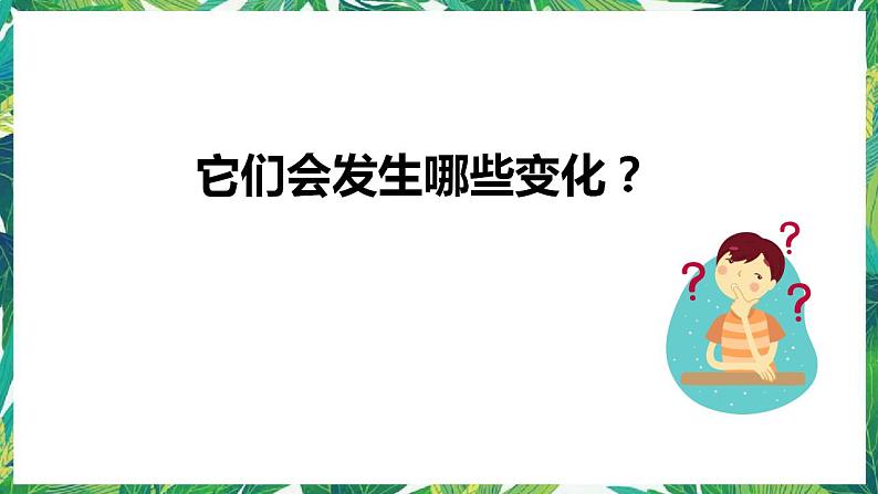 1《厨房里的物质与变化》课件+教案05