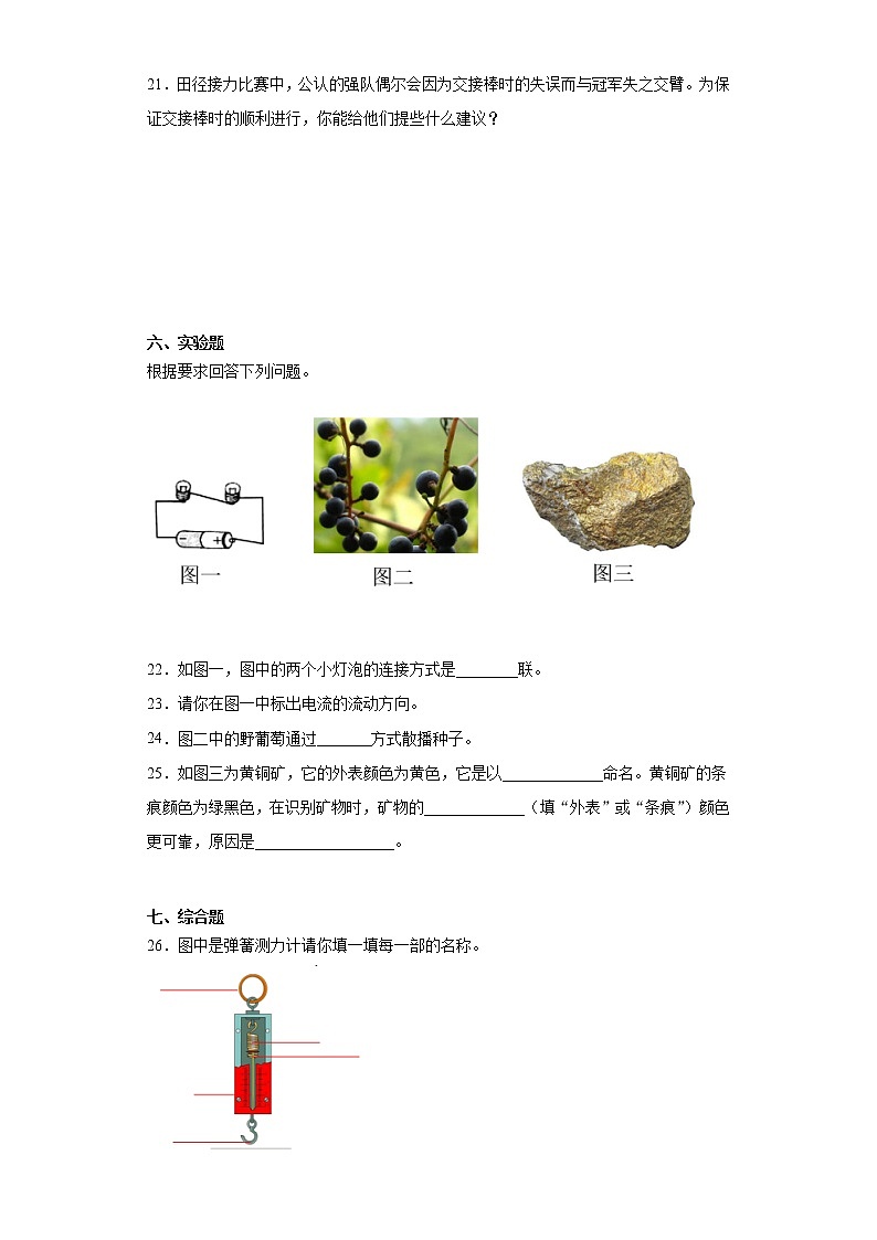 冀人版四年级科学上册期末复习测试卷(含答案)第3页