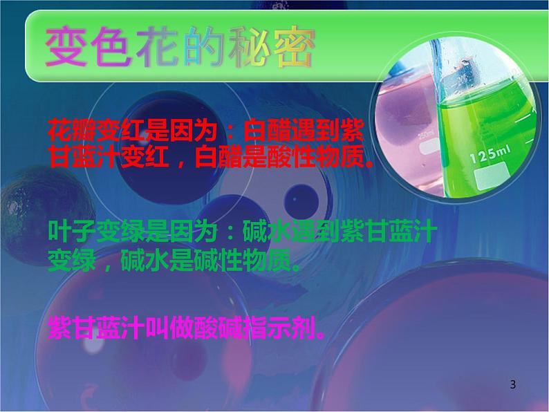 苏教版科学六年级上册3.3 变色花(课件)03