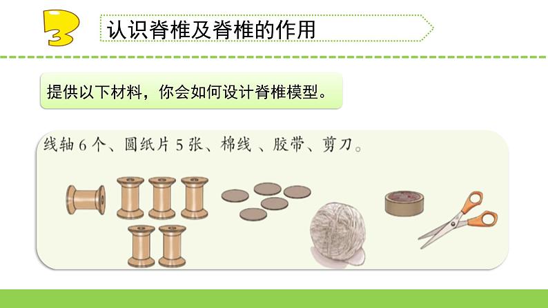 苏教版科学四年级上册1.给动物分类教学课件第7页