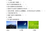 教科版二年级上册科学期中质量检测卷3(含答案）