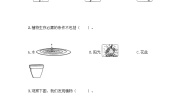 教科版一年级上册科学期中质量检测卷1 （含答案）