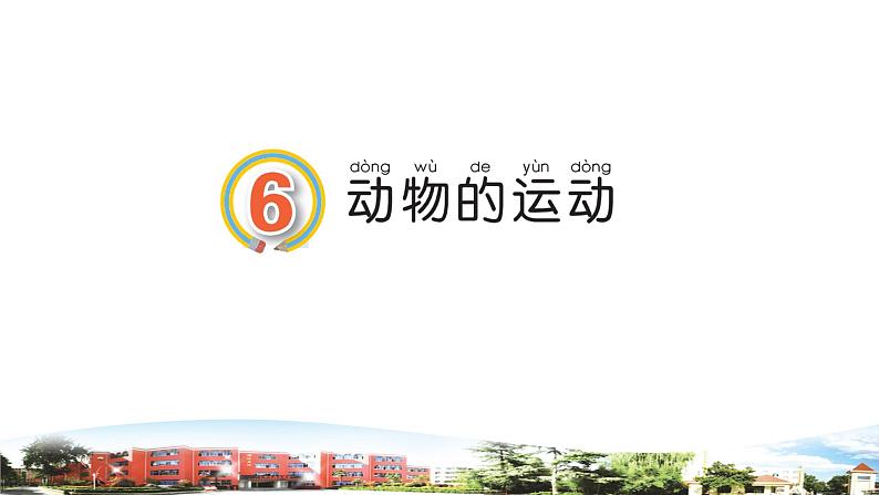 新青岛版科学六三制一年级下册 6 动物的运动 课件PPT01