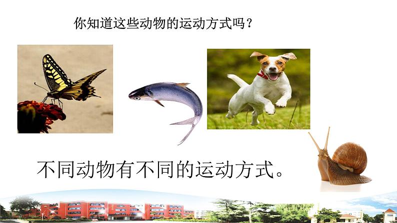 新青岛版科学六三制一年级下册 6 动物的运动 课件PPT06