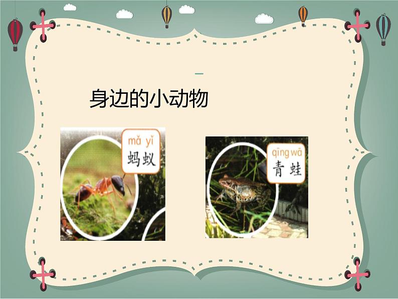 新粤教粤科版科学一下 4.13 观察小动物 PPT课件+教案04