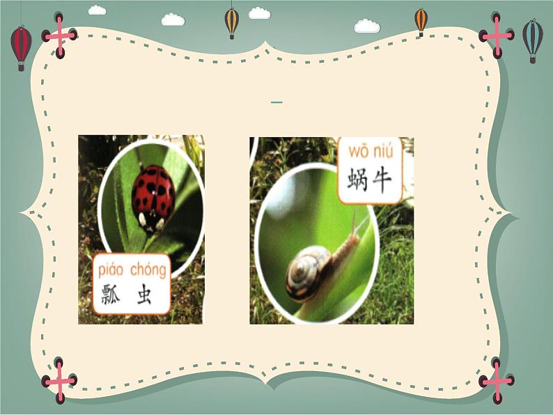 新粤教粤科版科学一下 4.13 观察小动物 PPT课件+教案05