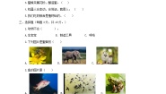 小学科学苏教版 (2017)一年级下册第四单元 动物与植物综合与测试练习题