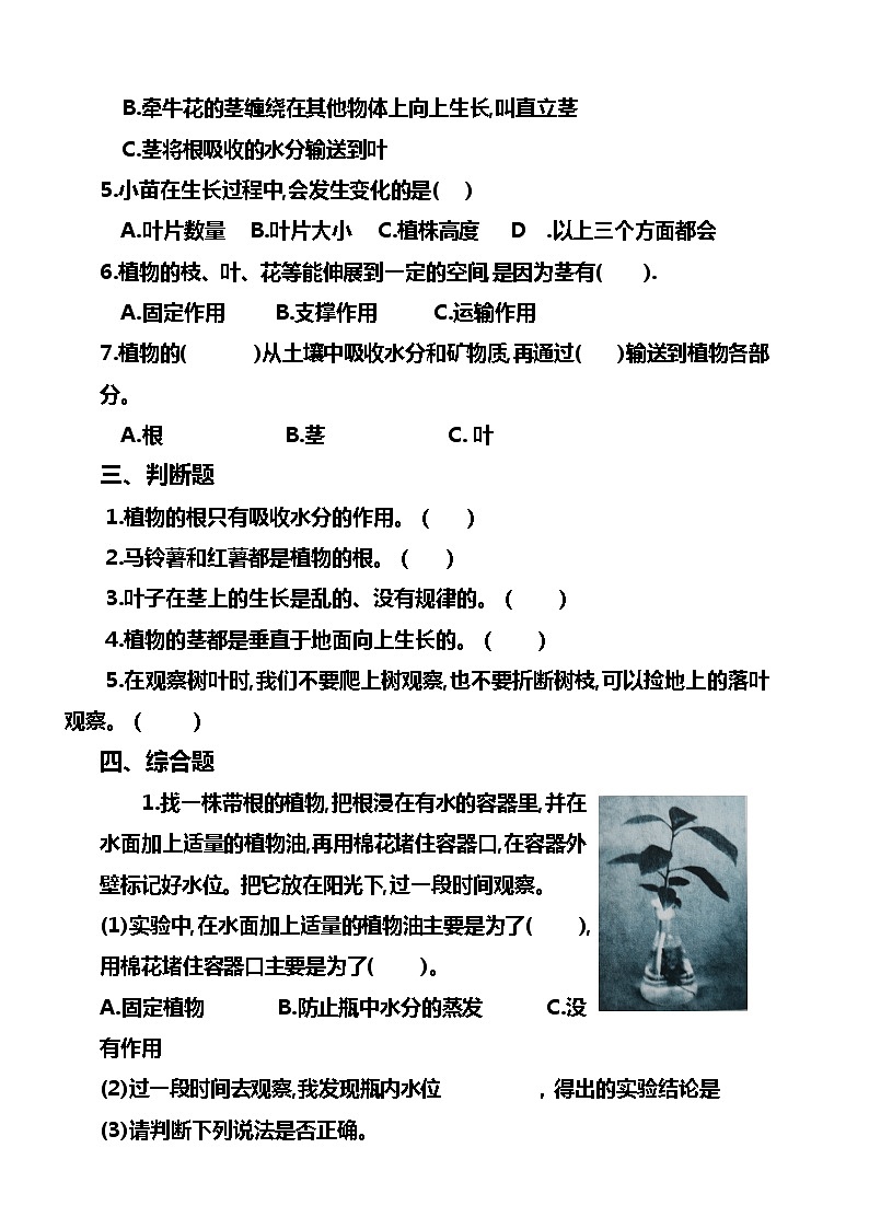 湘科版三年级下册科学 第四单元 植物的秘密练习题(含答案)第2页