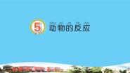 小学科学青岛版 (六三制2017)一年级下册第二单元 认识周围的动物5 动物的反应教学演示课件ppt